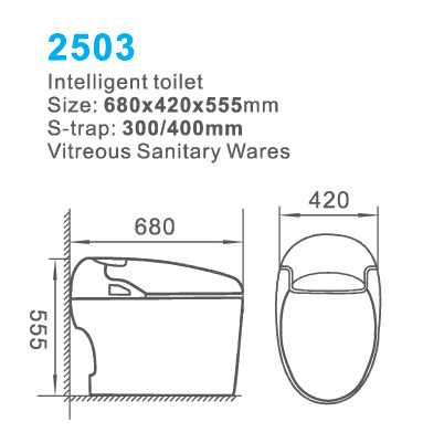 2503s.jpg